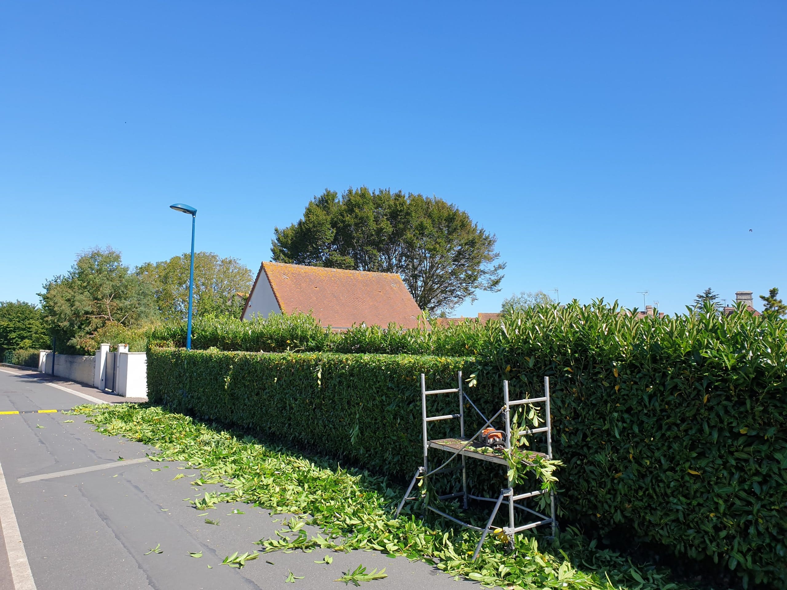 Taille de haies par un jardinier professionnel